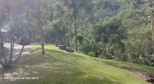 Sítio com riacho e cachoeira - Imagem 20