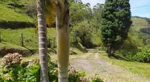 Sítio para venda em santa barbara a 7 km do centro de São Francisco Xavier - SP - Imagem 7