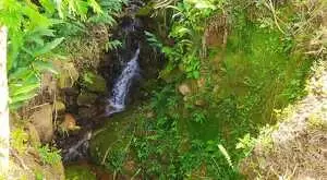 Sítio para venda em santa barbara a 7 km do centro de São Francisco Xavier - SP - Imagem 13
