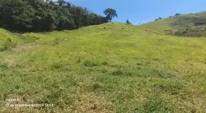 Terreno com Vista Maravilhosa e Total Privacidade - Imagem 4
