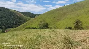 Terreno com Vista Maravilhosa e Total Privacidade - Imagem 7