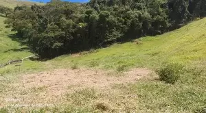 Terreno com Vista Maravilhosa e Total Privacidade - Imagem 8