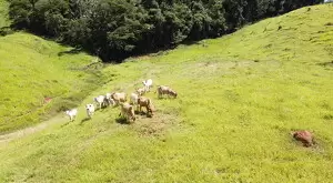 Terreno com Vista Maravilhosa e Total Privacidade - Imagem 12