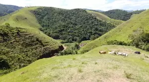 Terreno com Vista Maravilhosa e Total Privacidade - Imagem 13