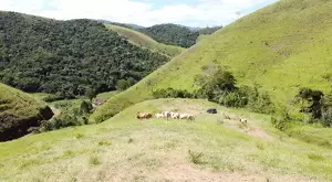 Terreno com Vista Maravilhosa e Total Privacidade - Imagem 14