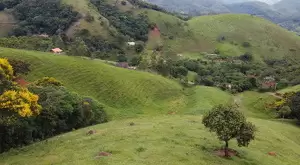 Loteamento Rural, Fazenda São João II - Imagem 3