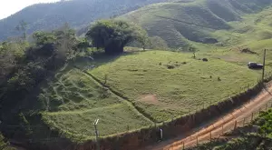 Loteamento Rural, Fazenda São João II - Imagem 6