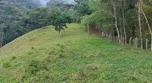 Loteamento Rural, Fazenda São João II - Imagem 8