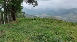 Loteamento Rural, Fazenda São João II - Imagem 9
