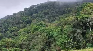 Loteamento Rural, Fazenda São João II - Imagem 10