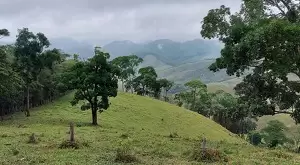 Loteamento Rural, Fazenda São João II - Imagem 11