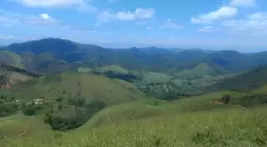 Loteamento Rural, Fazenda São João II - Imagem 12
