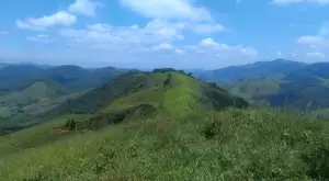 Loteamento Rural, Fazenda São João II - Imagem 13