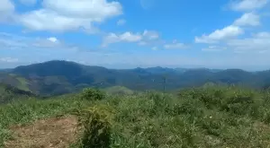 Loteamento Rural, Fazenda São João II - Imagem 14