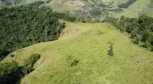 60 Alqueires a venda na cidade de Monteiro Lobato - SP - Imagem 2