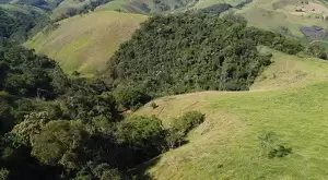 60 Alqueires a venda na cidade de Monteiro Lobato - SP - Imagem 3