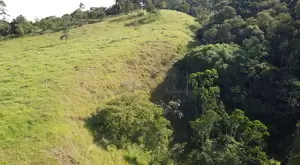 60 Alqueires a venda na cidade de Monteiro Lobato - SP - Imagem 4