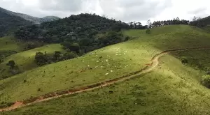 60 Alqueires a venda na cidade de Monteiro Lobato - SP - Imagem 7