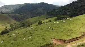 60 Alqueires a venda na cidade de Monteiro Lobato - SP - Imagem 8
