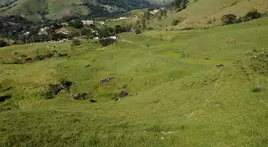 Terreno de 4 alqueires a 2 km da praça de São Francisco Xavier  a venda - Imagem 3