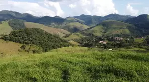 Terreno de 4 alqueires a 2 km da praça de São Francisco Xavier  a venda - Imagem 4