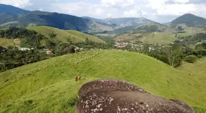 Terreno de 4 alqueires a 2 km da praça de São Francisco Xavier  a venda - Imagem 5