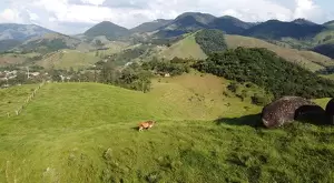 Terreno de 4 alqueires a 2 km da praça de São Francisco Xavier  a venda - Imagem 6