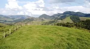Terreno de 4 alqueires a 2 km da praça de São Francisco Xavier  a venda - Imagem 8