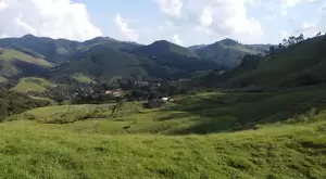 Terreno de 4 alqueires a 2 km da praça de São Francisco Xavier  a venda - Imagem 9