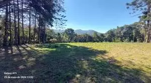 Terreno a venda em São Francisco Xavier com área de 6 Alqueires