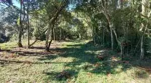 Terreno a venda em São Francisco Xavier com área de 6 Alqueires - Imagem 3