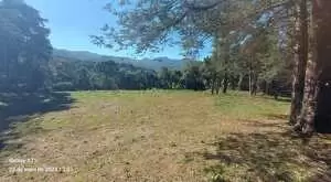Terreno a venda em São Francisco Xavier com área de 6 Alqueires - Imagem 4