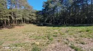 Terreno a venda em São Francisco Xavier com área de 6 Alqueires - Imagem 5