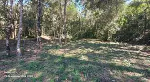 Terreno a venda em São Francisco Xavier com área de 6 Alqueires - Imagem 6