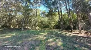 Terreno a venda em São Francisco Xavier com área de 6 Alqueires - Imagem 9