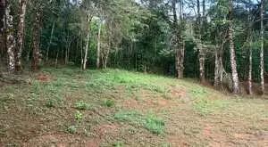 Terreno a venda em São Francisco Xavier com área de 6 Alqueires - Imagem 12