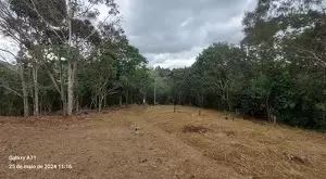 Terreno com área de 5 alqueires a venda em São Francisco Xavier - SP - Imagem 5