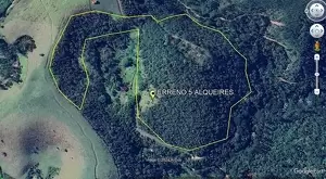 Terreno com área de 5 alqueires a venda em São Francisco Xavier - SP - Imagem 11