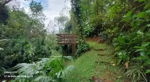Um paraíso acima das nuvens em São Francisco Xavier - Imagem 15