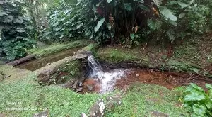 Um paraíso acima das nuvens em São Francisco Xavier - Imagem 17