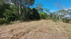 Terreno de 5 Alqueires com Vista Cinematográfica – Rio Manso, São Francisco Xavier – SP - Imagem 3