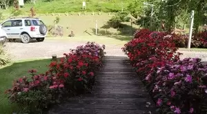 Sítio dos sonhos, com vista maravilhosa, lago e chalé extra - Imagem 12
