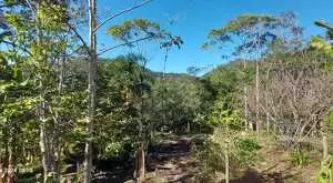 Sítio a venda nas Montanhas de São Francisco Xavier - SP - Imagem 2