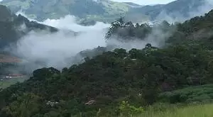 Sítio a venda nas Montanhas de São Francisco Xavier - SP - Imagem 4