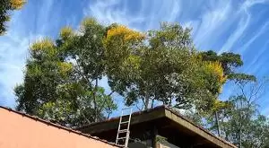 Sítio a venda nas Montanhas de São Francisco Xavier - SP - Imagem 7