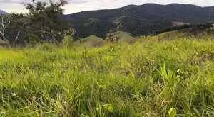 MONTEIRO LOBATO - LINDA VISTA - Imagem 5