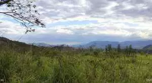MONTEIRO LOBATO - LINDA VISTA - Imagem 6