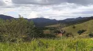 MONTEIRO LOBATO - LINDA VISTA - Imagem 7