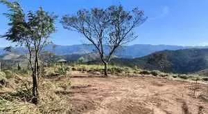 MONTEIRO LOBATO - LINDA VISTA - Imagem 11