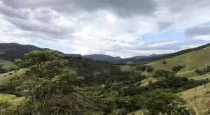 Monteiro Lobato - Bela vista - Imagem 2